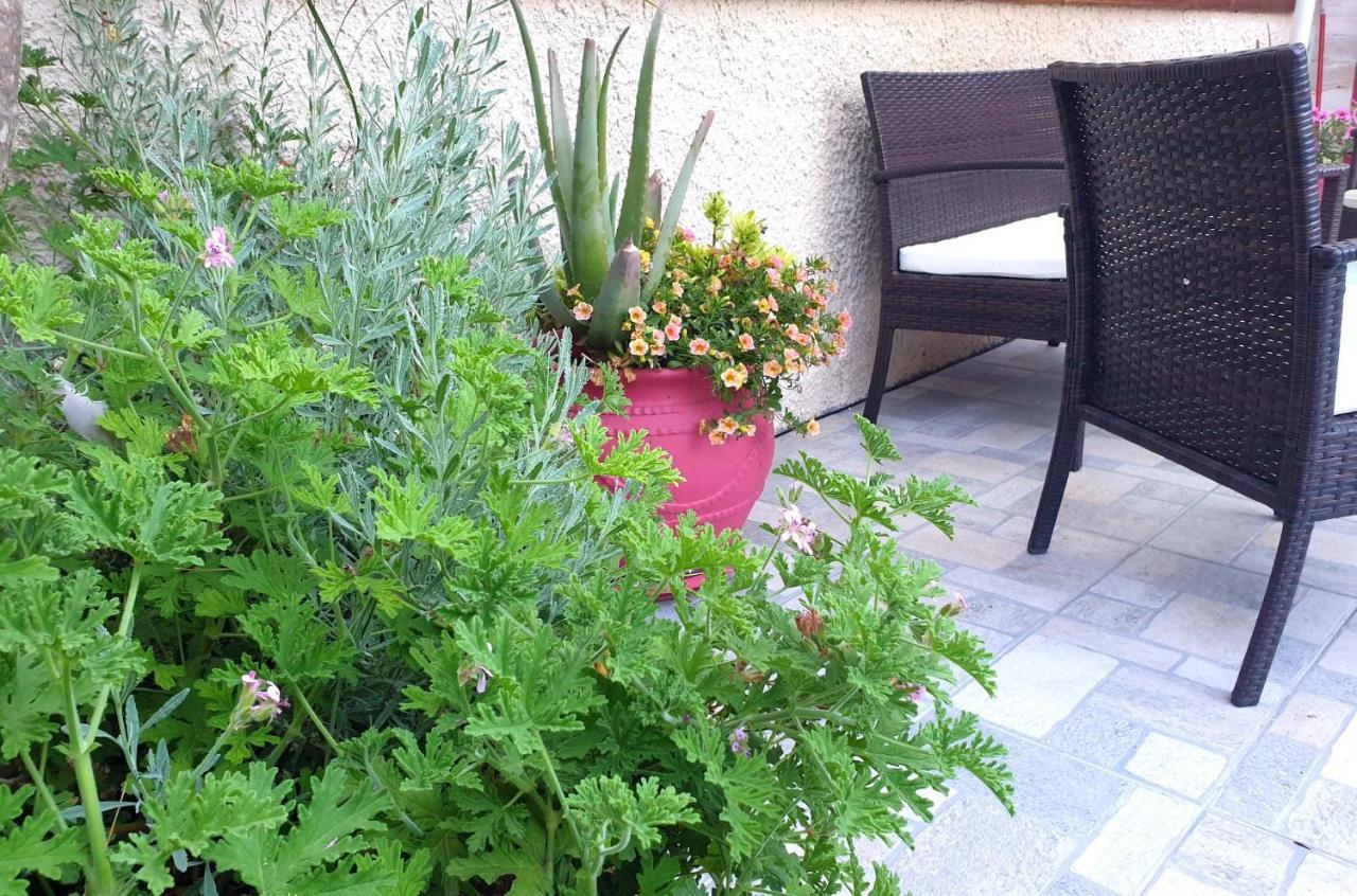 Willa Aloe House Lakíthra Zewnętrze zdjęcie